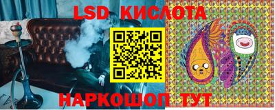 дмт Тара