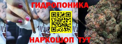 дмт Тара