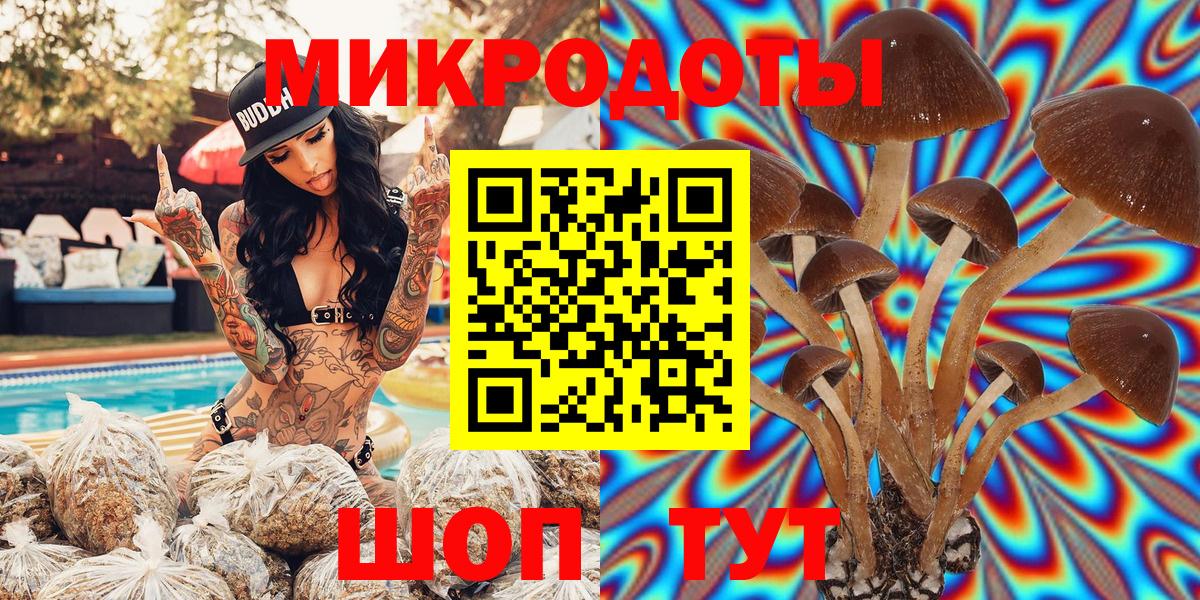Псилоцибиновые грибы GOLDEN TEACHER  Вход с VPN  как найти   Мыски 